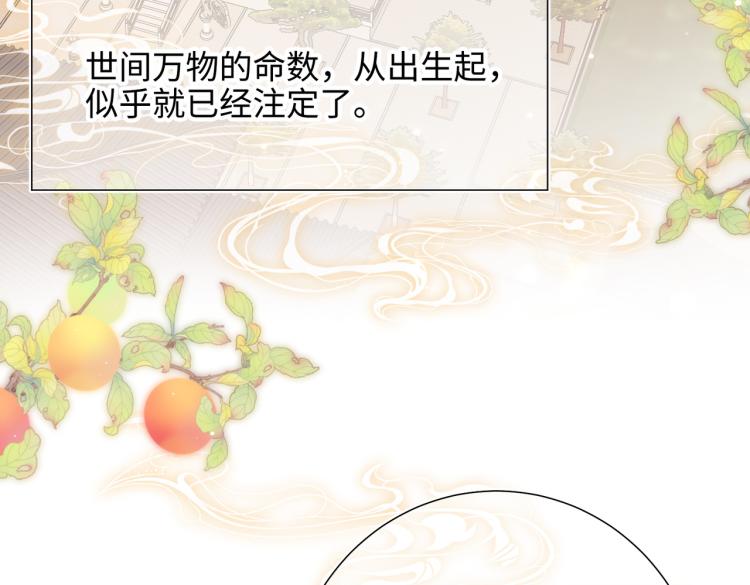 33话最稳妥的方法5