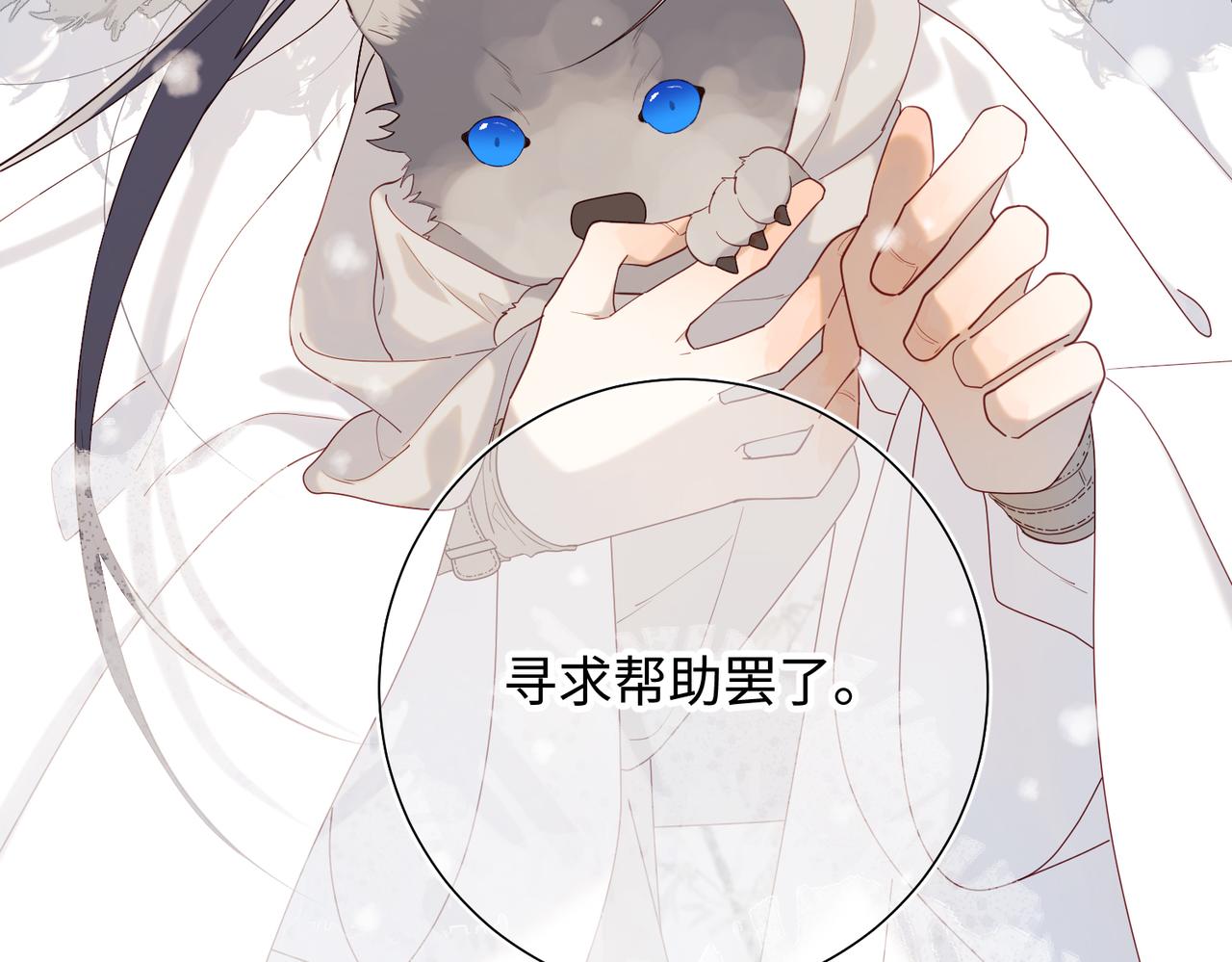 41-洗白计划64