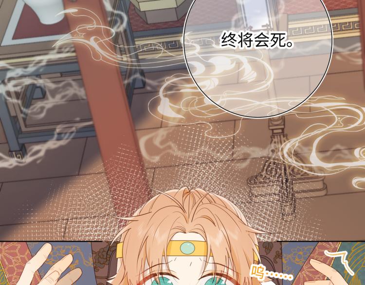 33话最稳妥的方法14