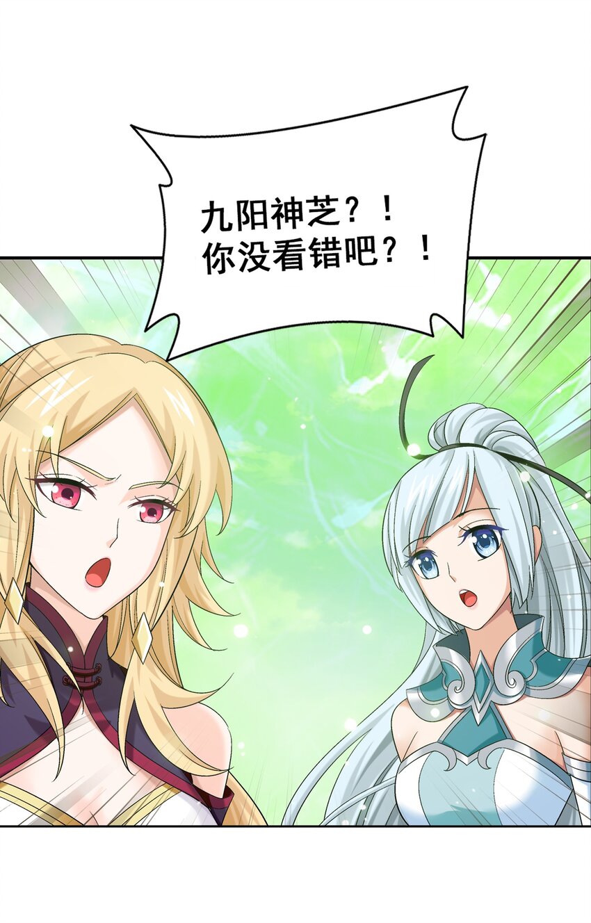 511 九阳神芝6