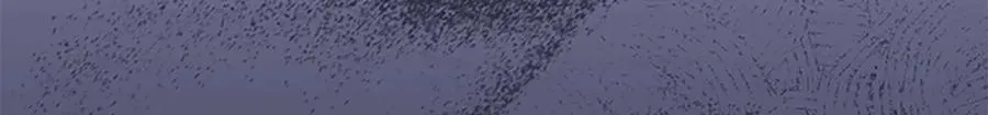 第164话 不要喜欢他25