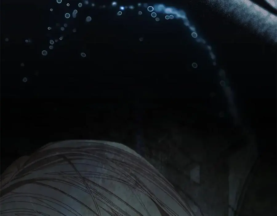 第147话 封印魔法阵166