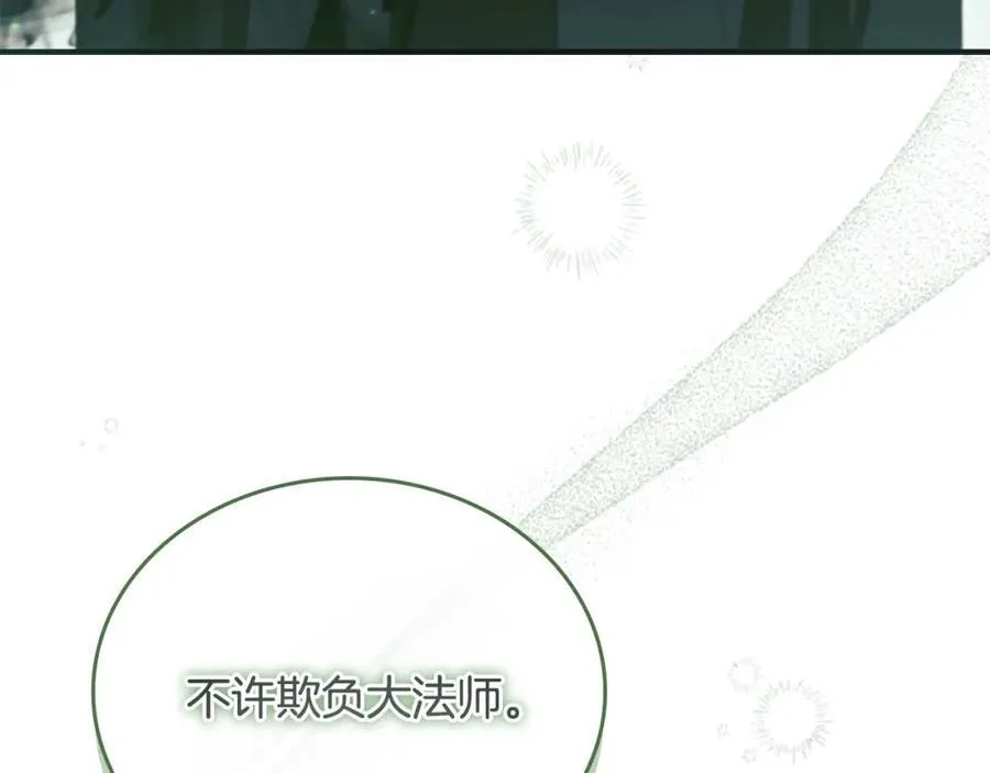 第161话 不准欺负大法师！142