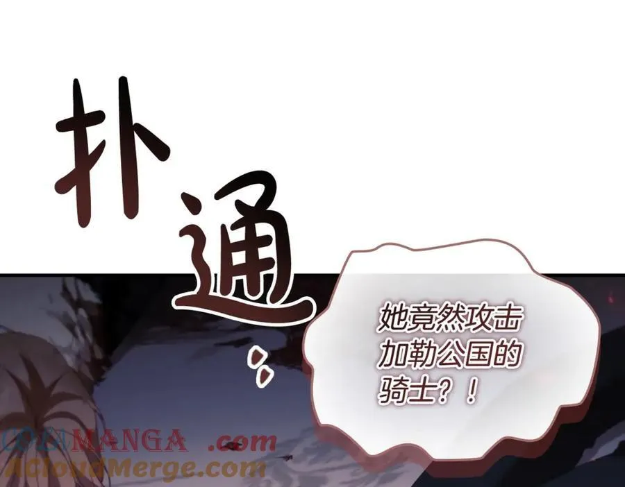 第161话 不准欺负大法师！108