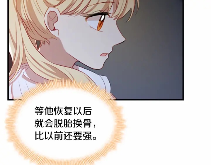 第60话 小公主的私心9