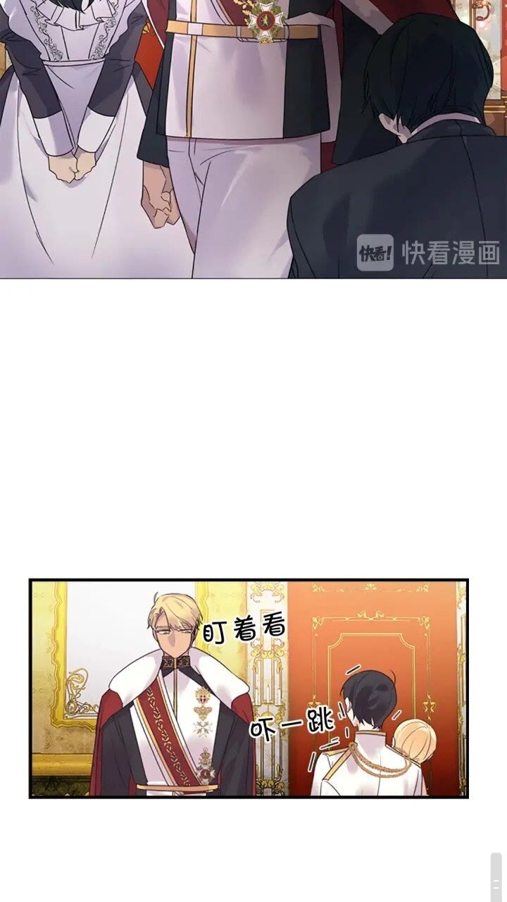 第8话 刺杀公主的人都得狗带25