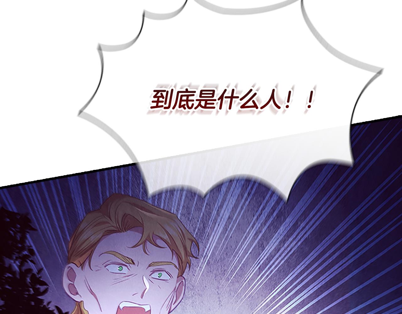 第121话 魔法师刺客137