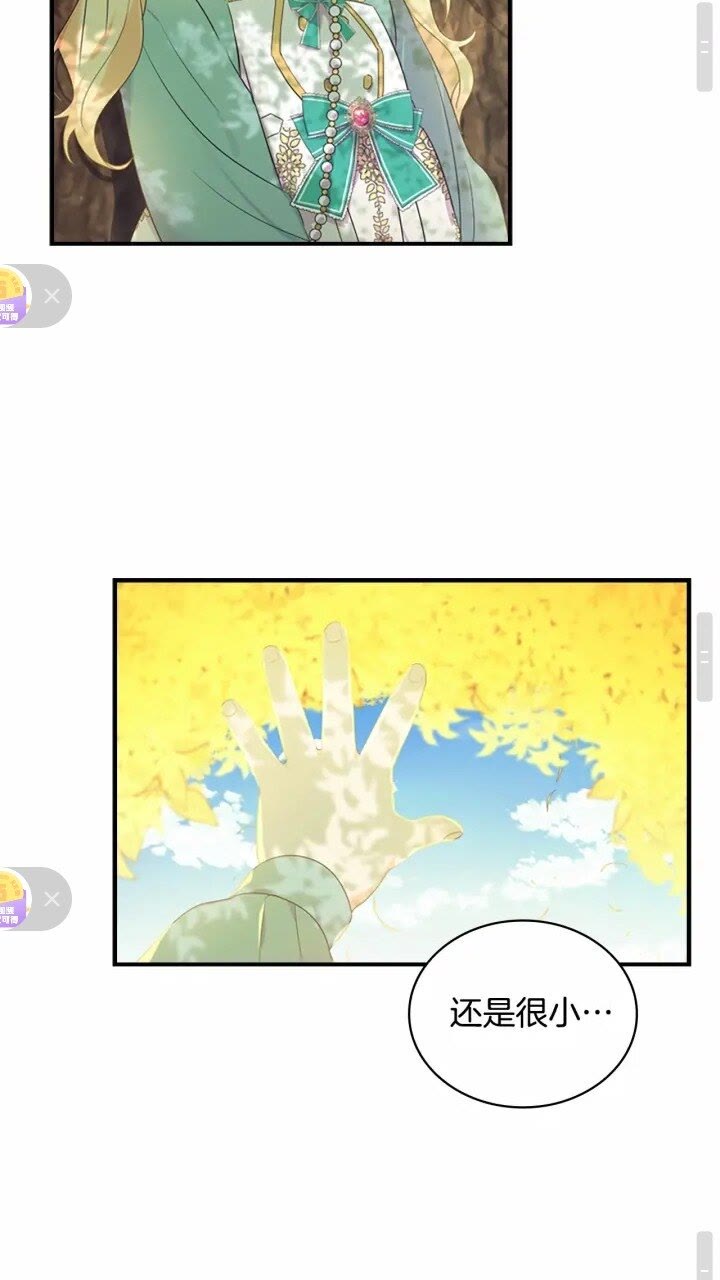 第35话 你不是真的公主殿下？27