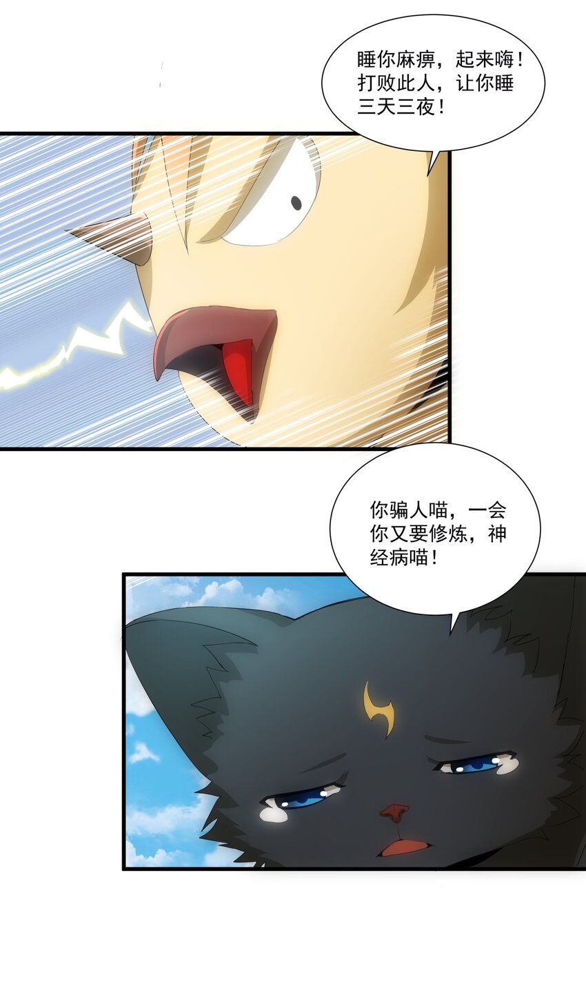 054 喵哥，快醒醒！42