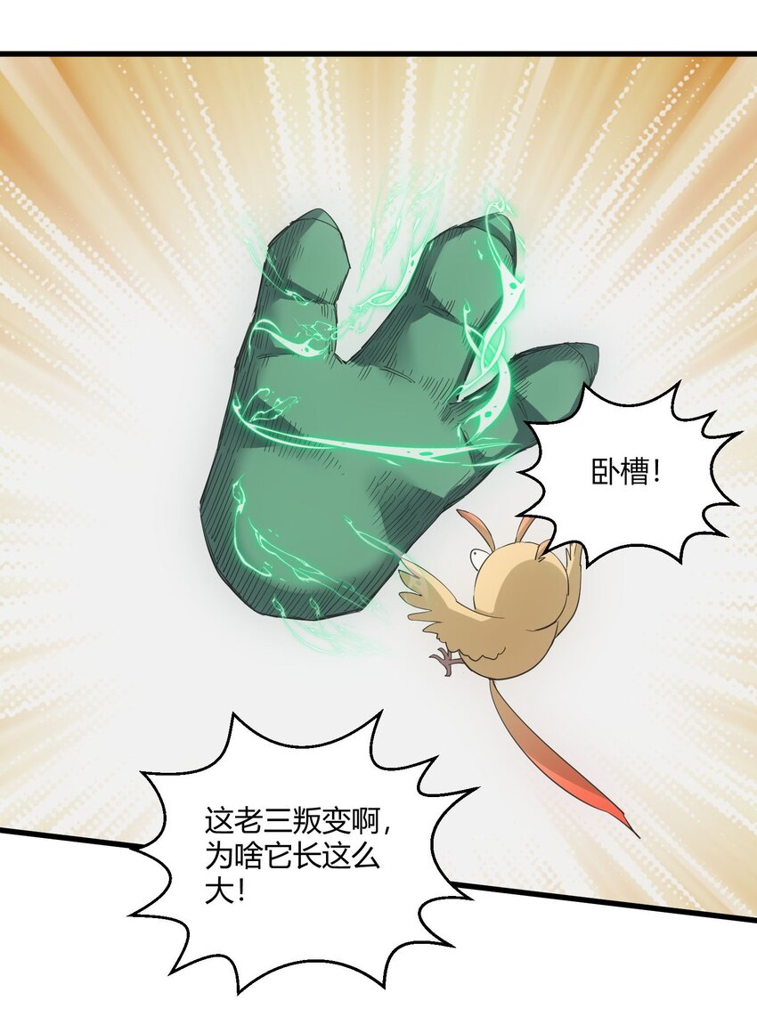 164 太极鸿蒙夔龙！！！31