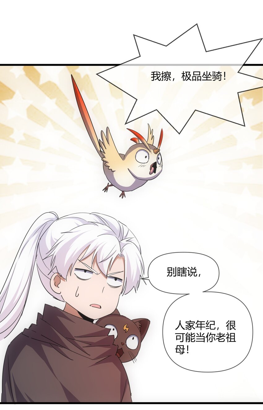 172 极品坐骑白子矜35