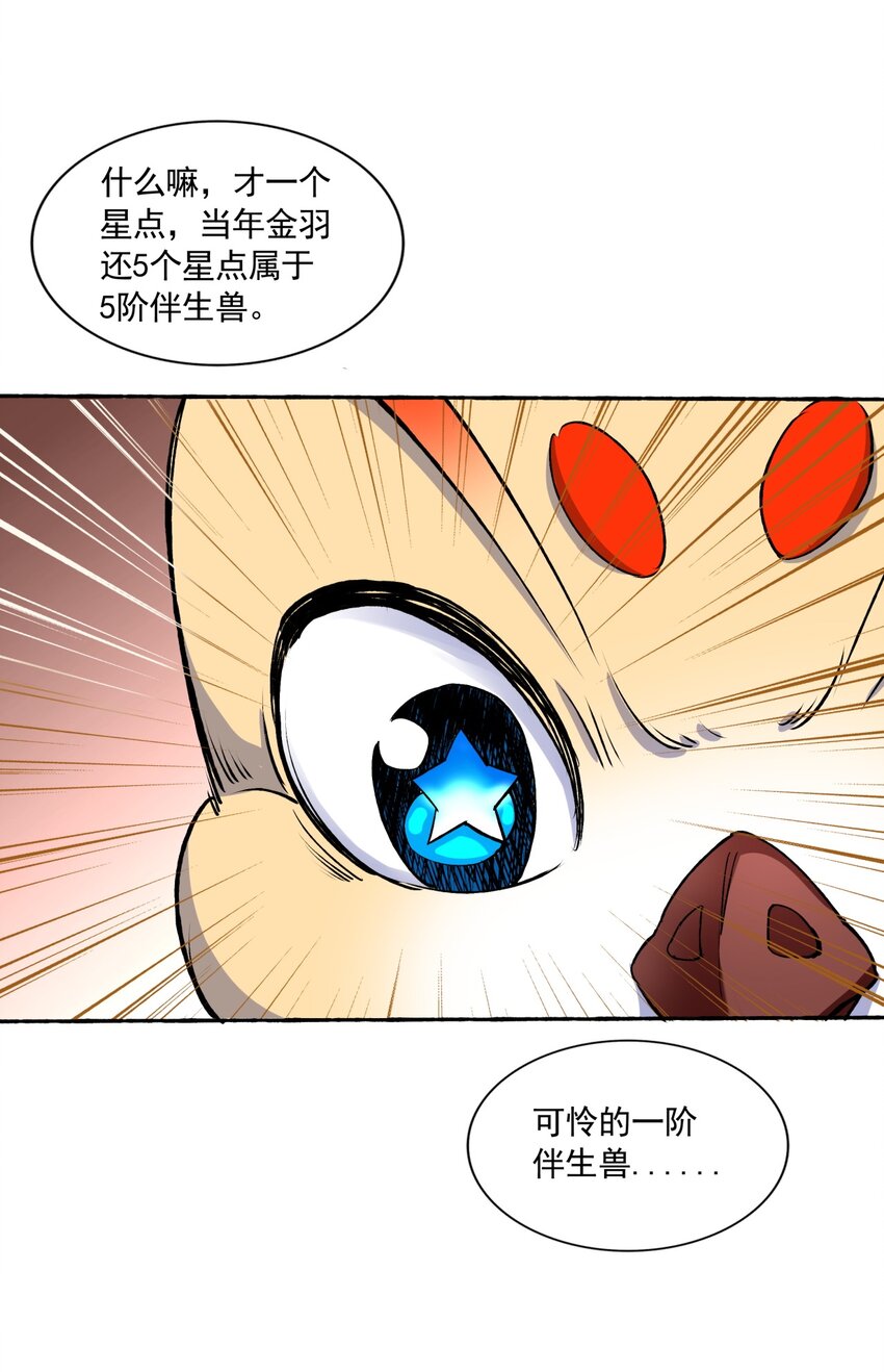 002 永恒炼狱凤凰10