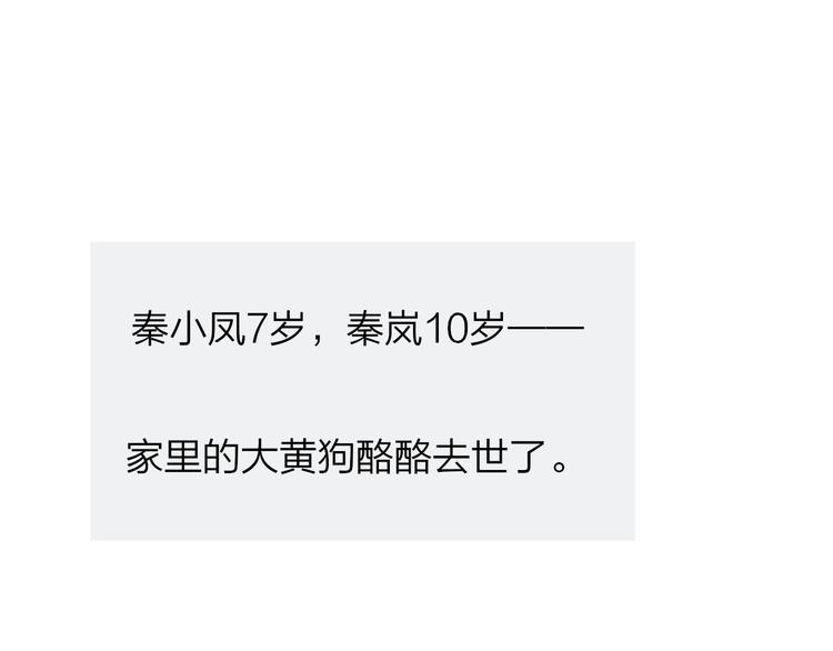 秦岚和秦小凤的小故事17