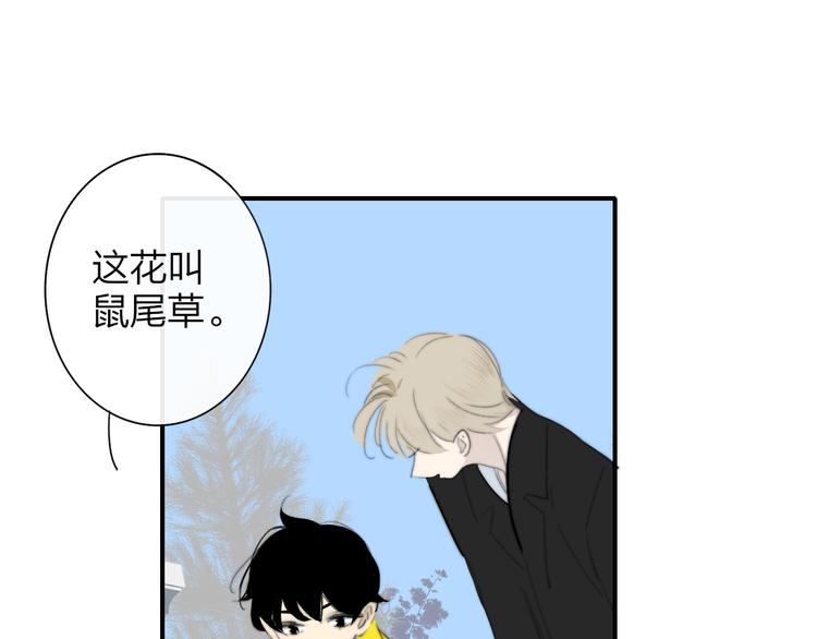 秦小凤篇 后来，我们都长大了35