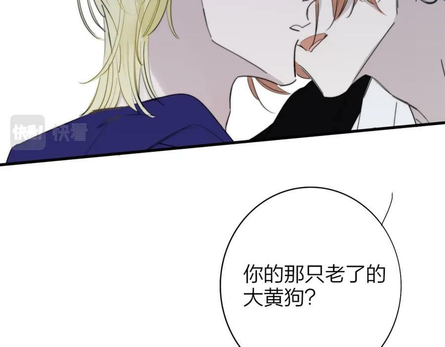番外 小王子和吸血鬼x241