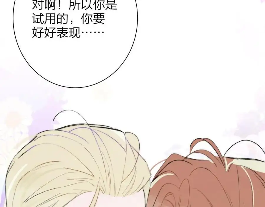 第73话 试用期5年86