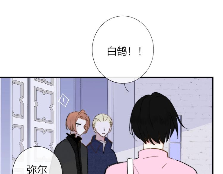 第38话 一起上课啊~46