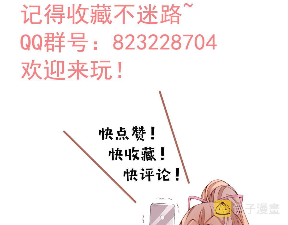 34116