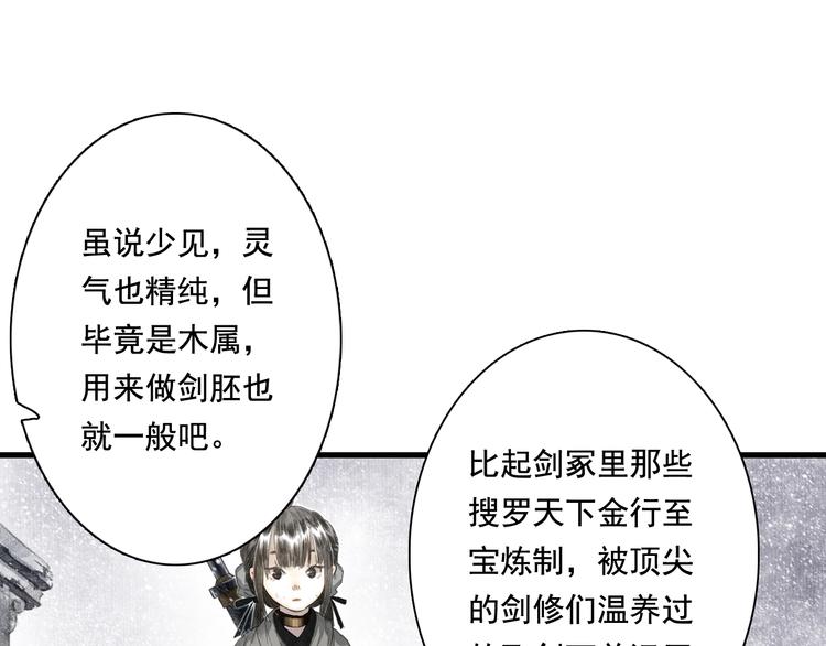 第48话 剑阁一脉16