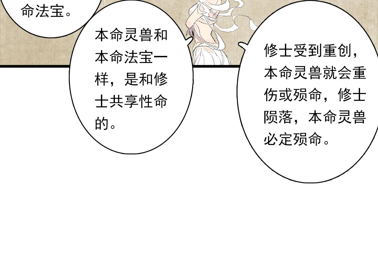 番外3 修士的本命灵兽12