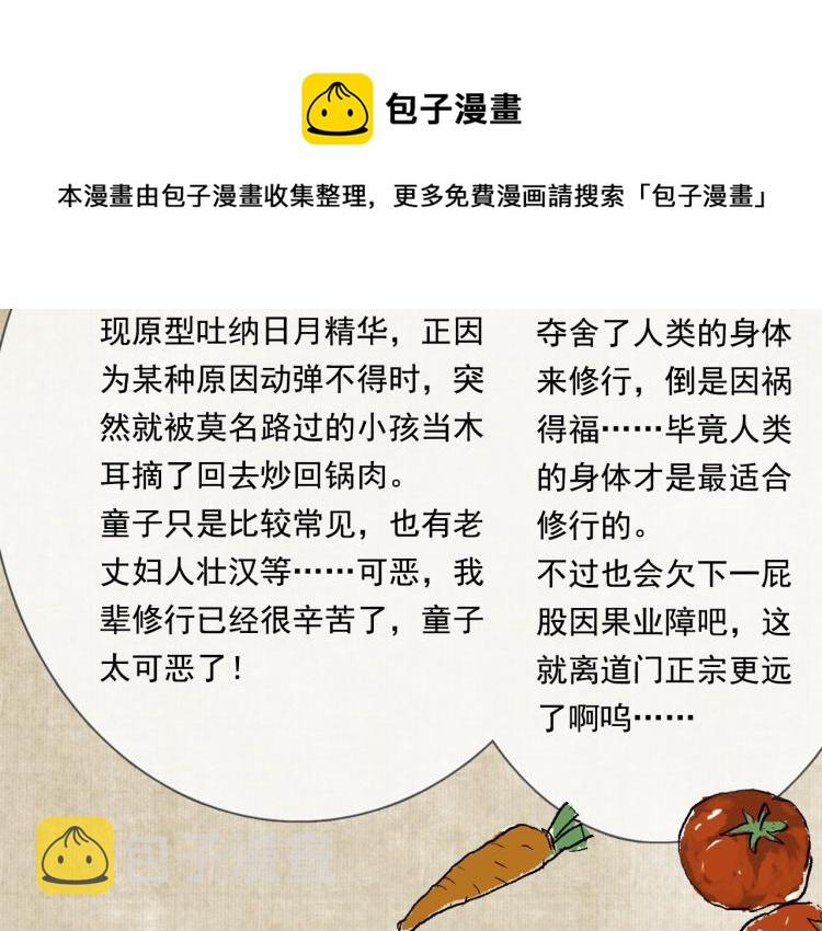 番外 修仙碎碎念13