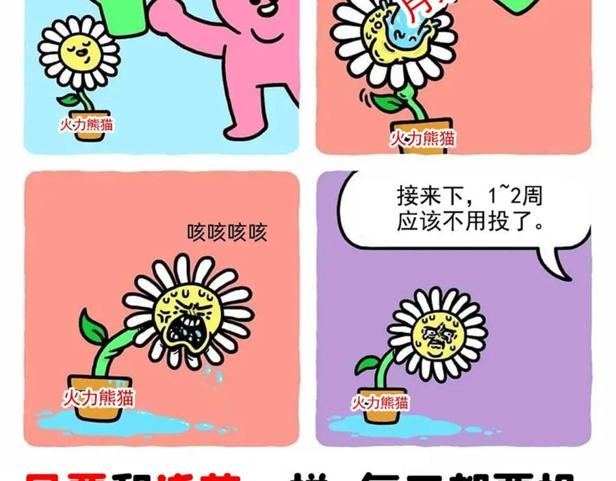 第424话 不是开会是约会113