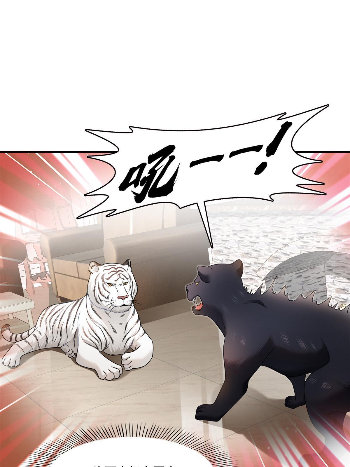 第278话 大白和小黑22