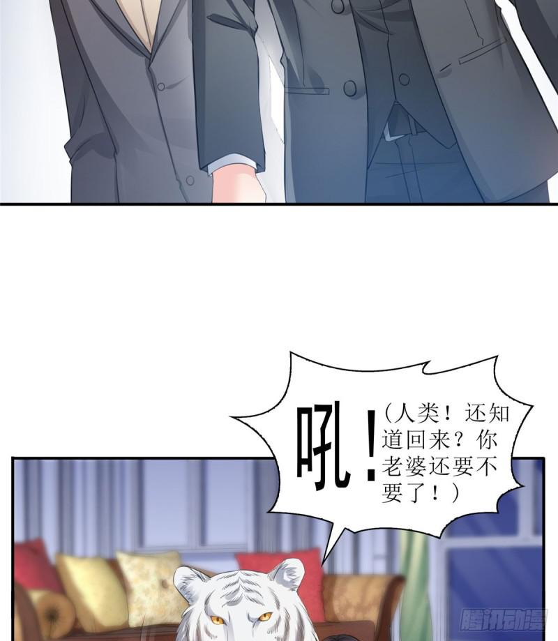 第六十六话 我要富可敌国！3