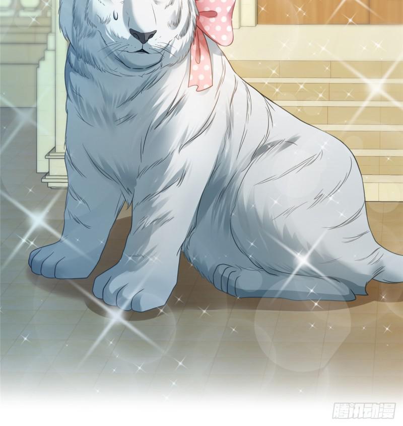 第七十一话 猎物进套46