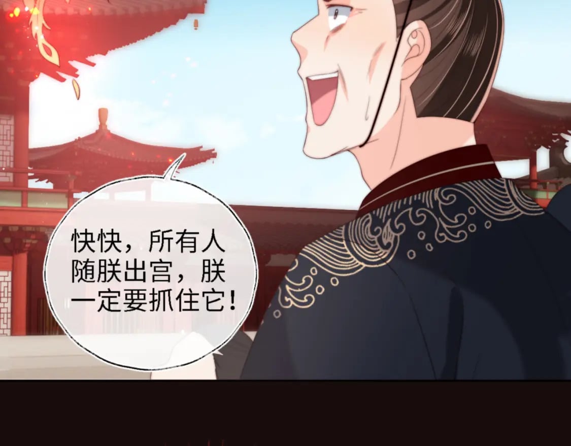 第41话 里应外合10
