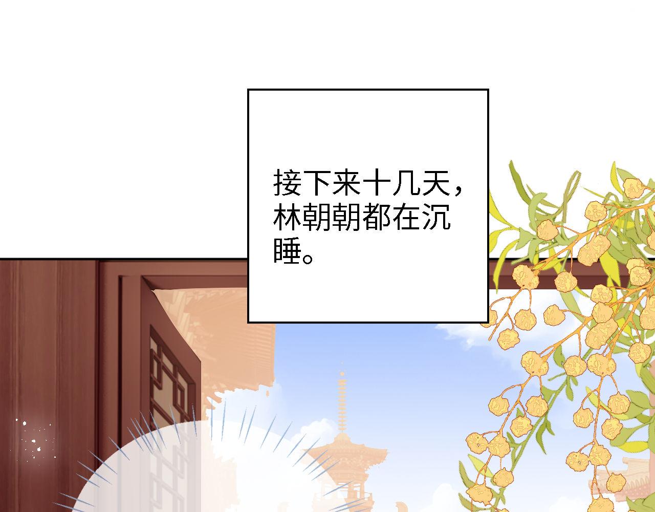第17话 朝朝的过去3