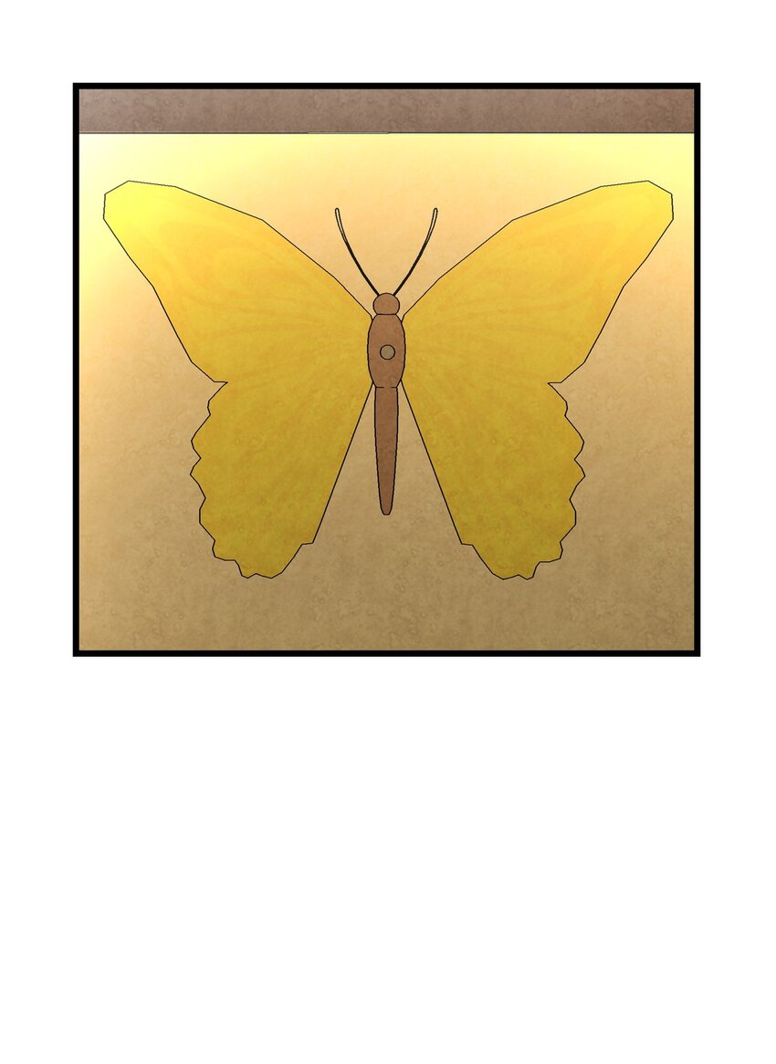 06 蝴蝶342