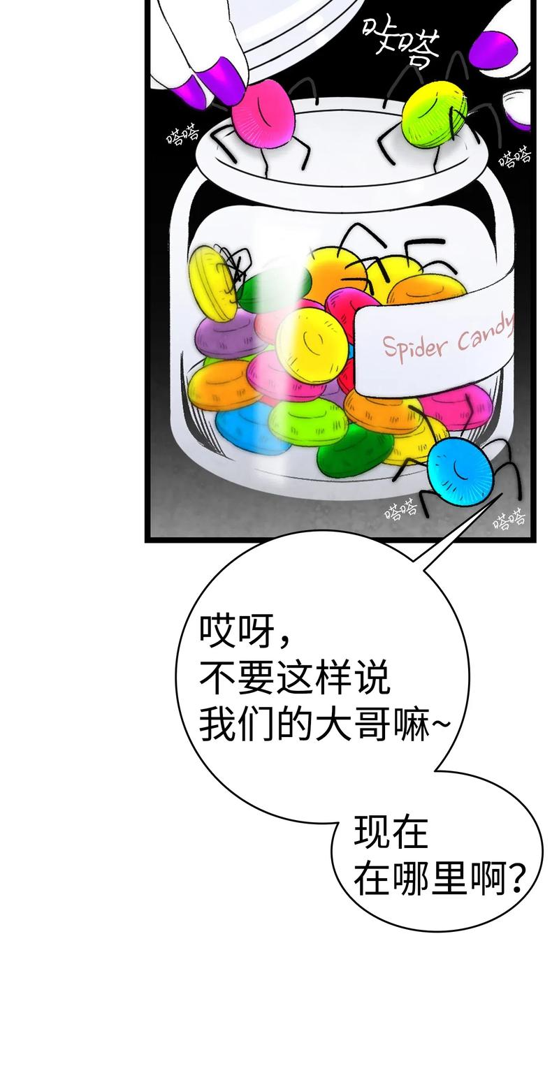 34 就是这个动物26
