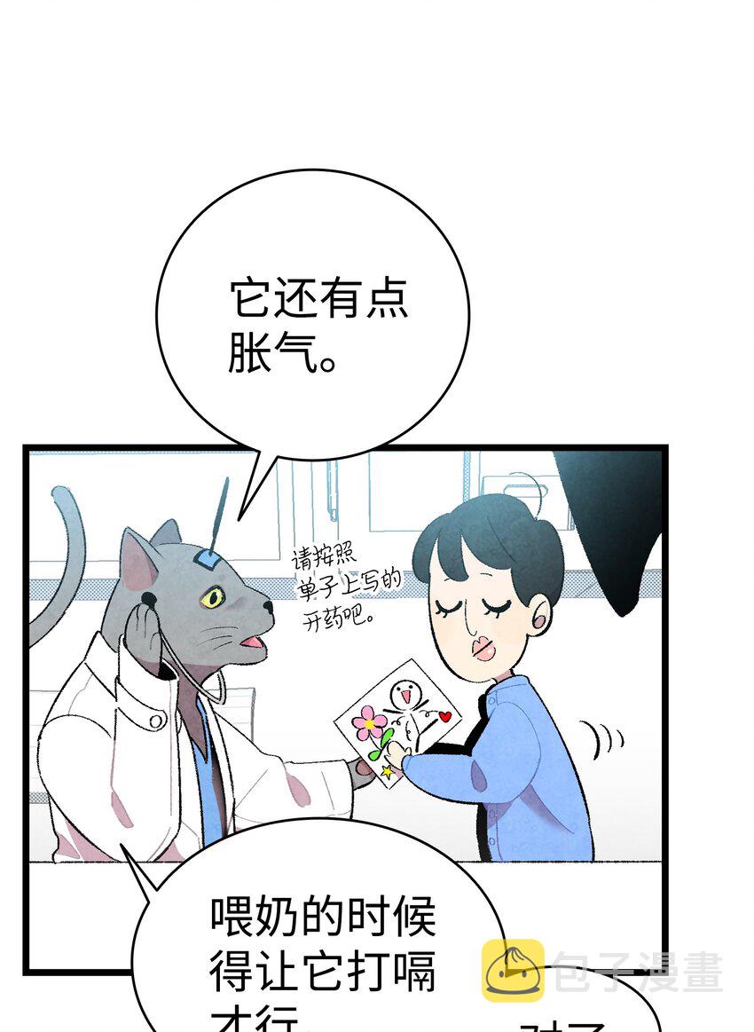 05 蝴蝶254
