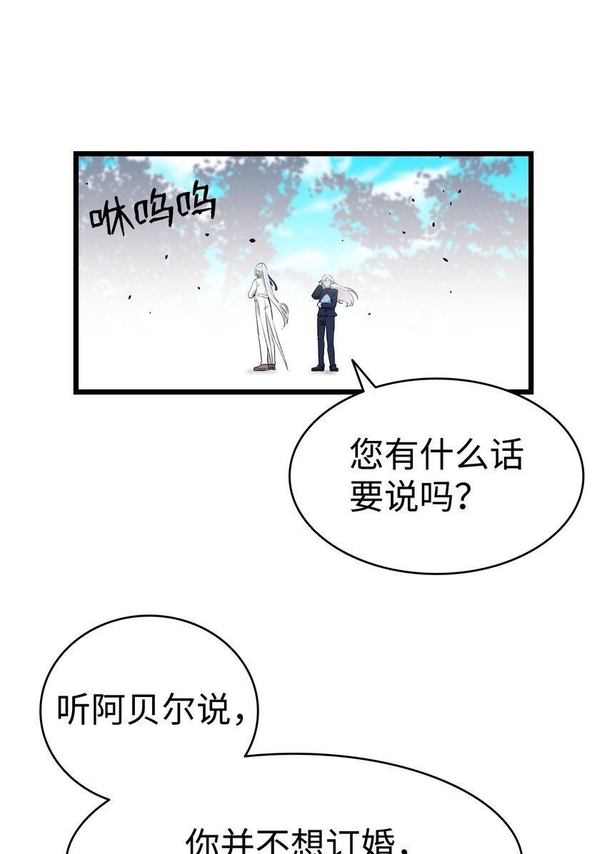 144 蝴蝶的身世49