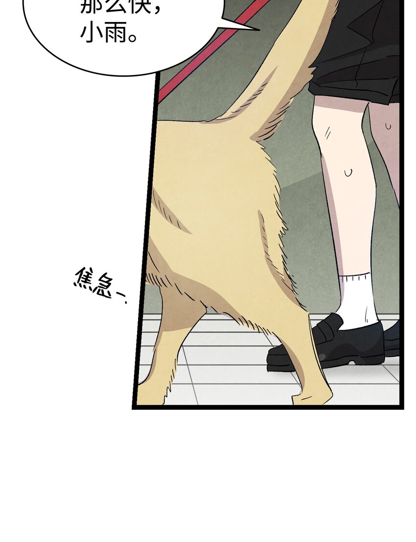 116 遛狗30