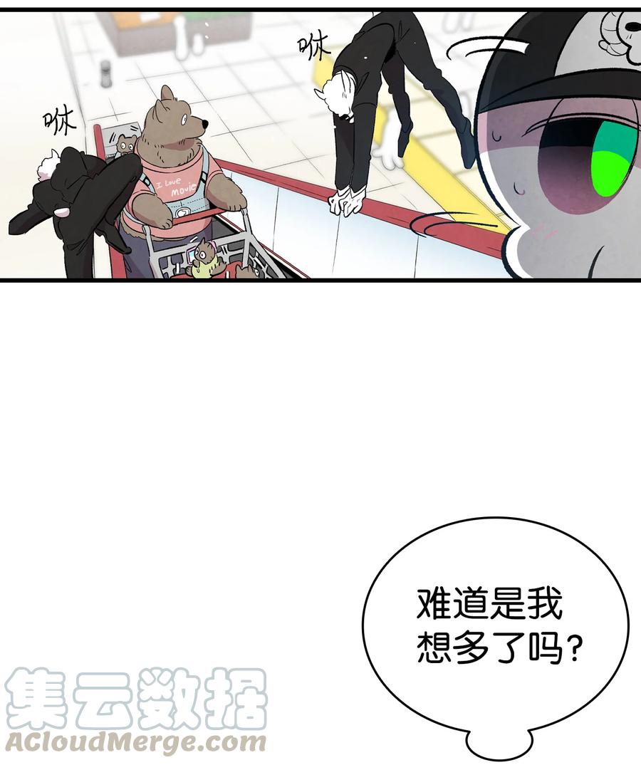 85 追踪51