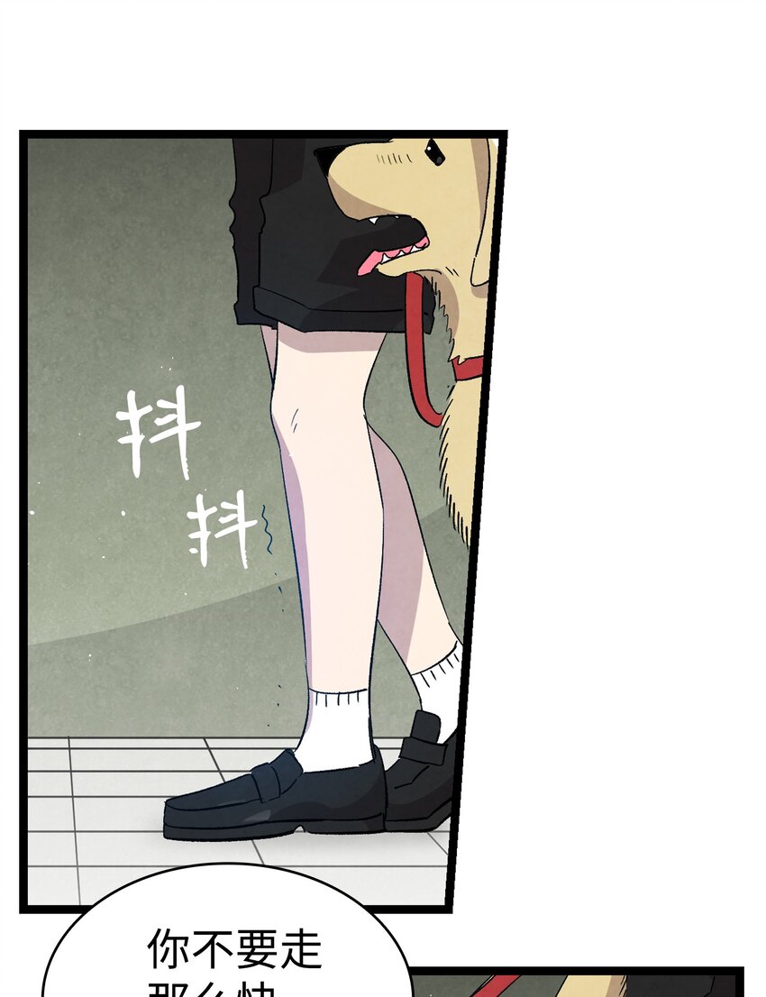 116 遛狗29