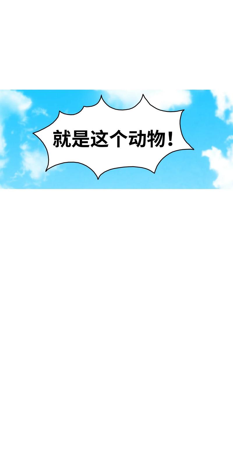 34 就是这个动物68