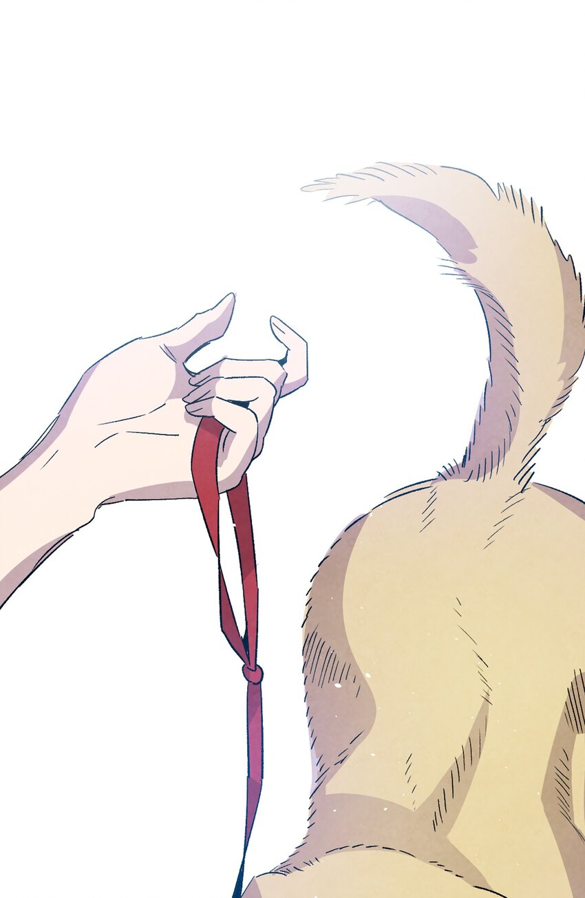 116 遛狗25