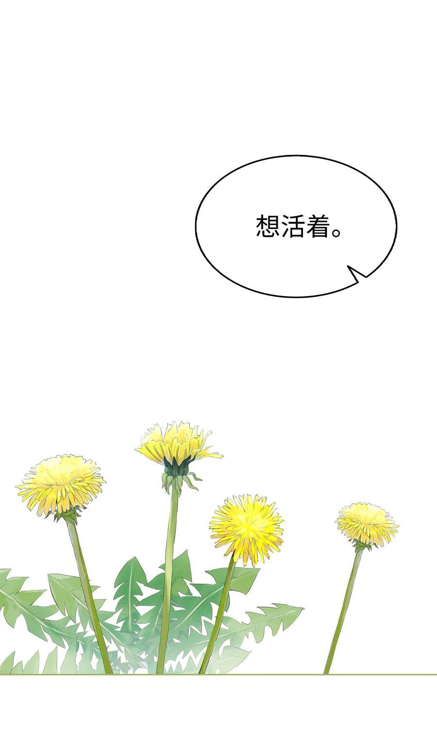206 复活75