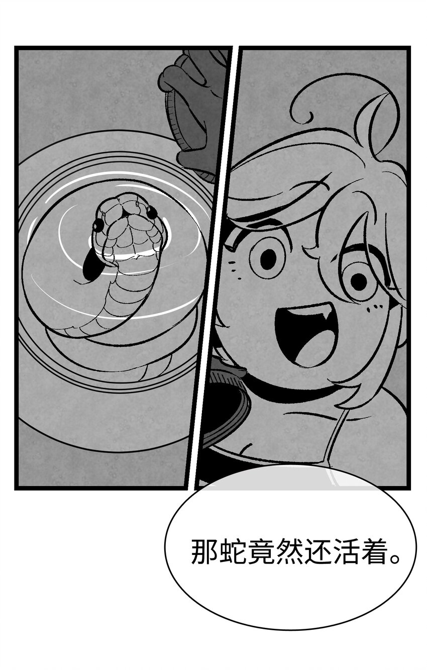 05 蝴蝶242