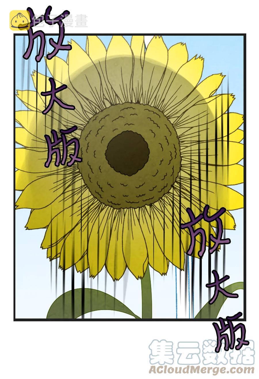 91 逛花园57