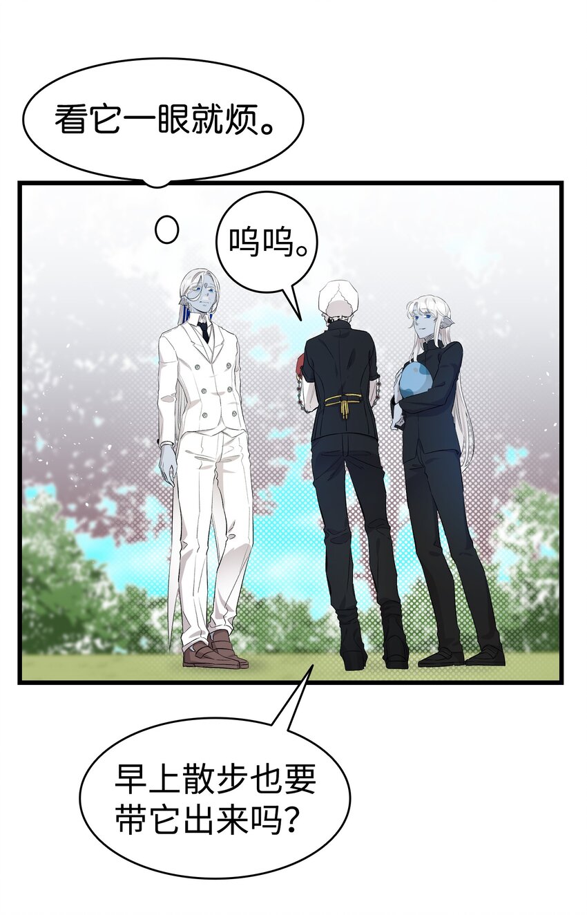 144 蝴蝶的身世59