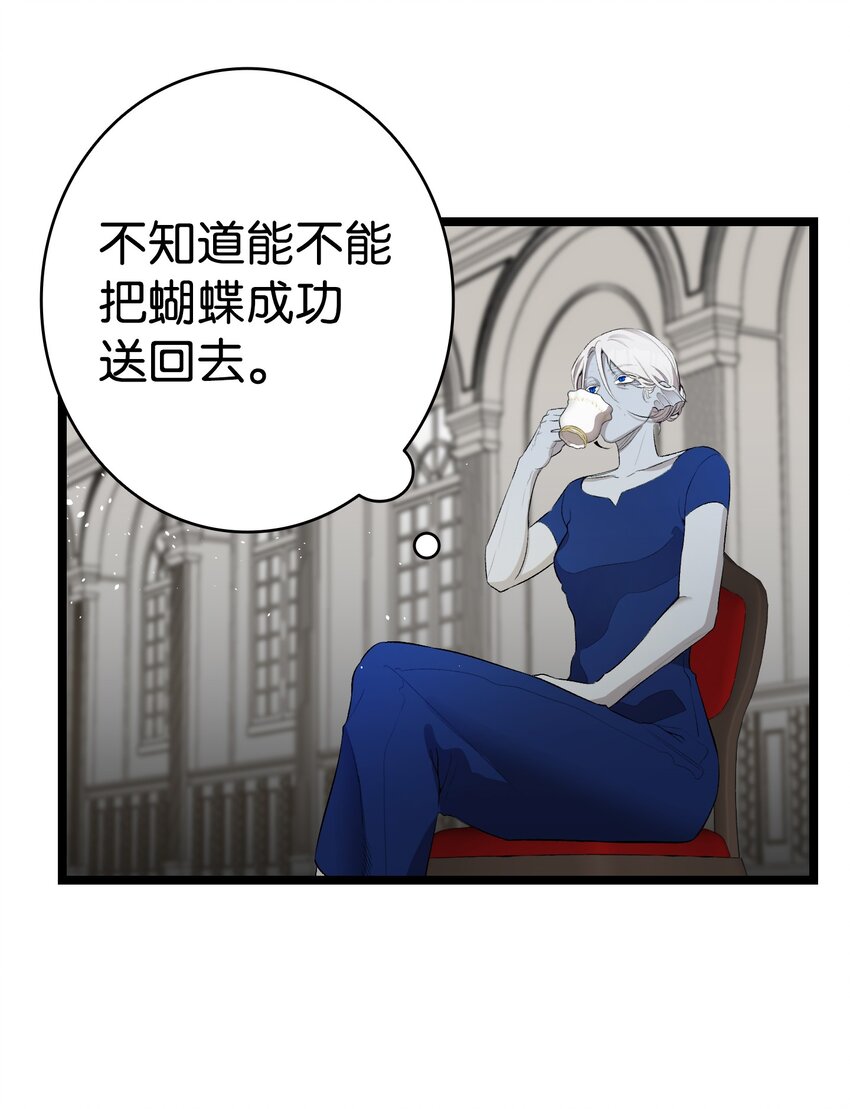 144 蝴蝶的身世37