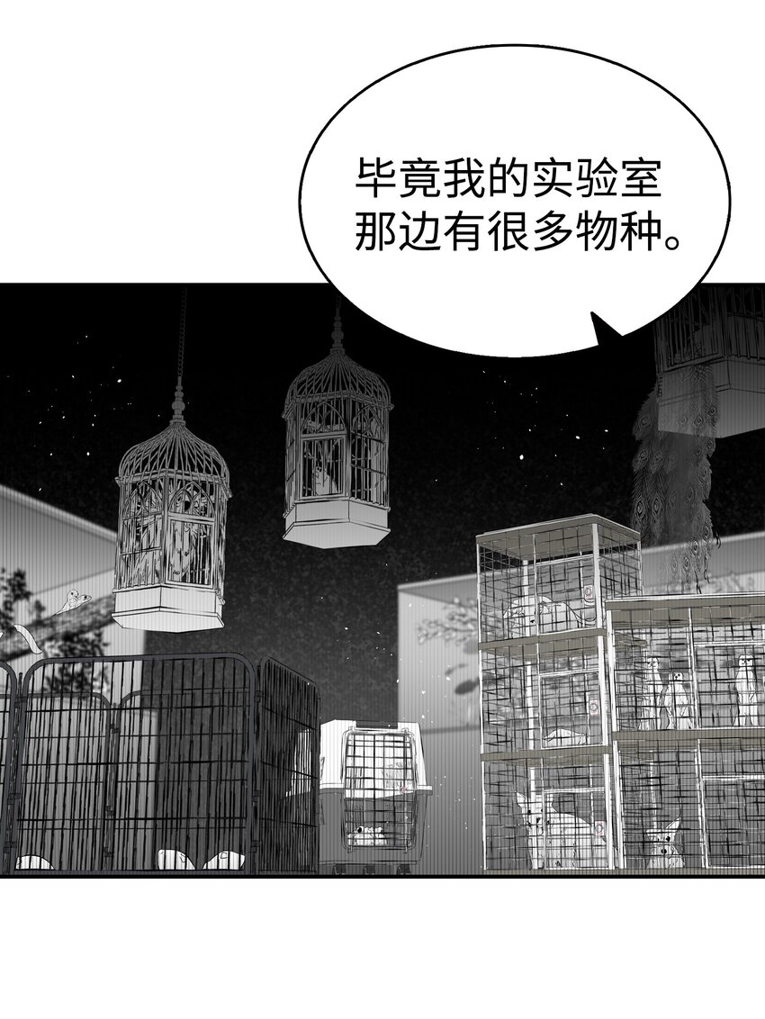 149 艰难抉择49