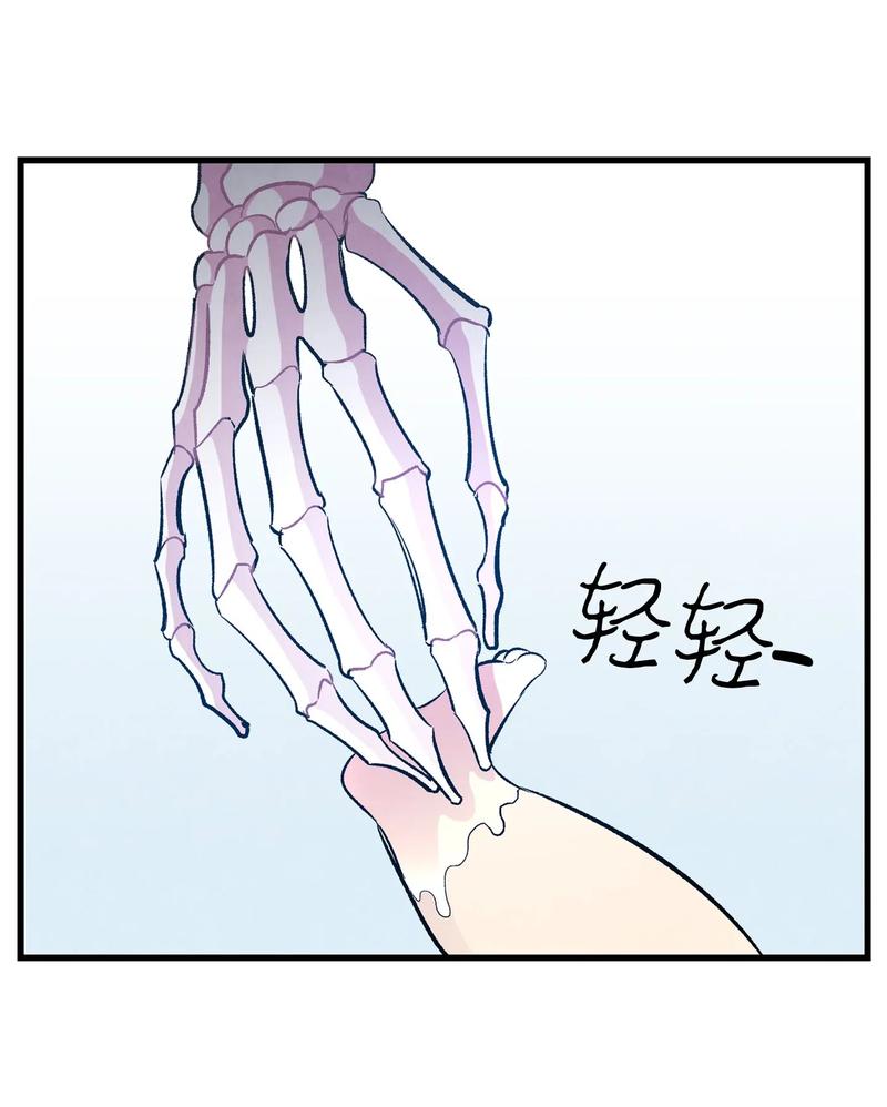 34 就是这个动物20