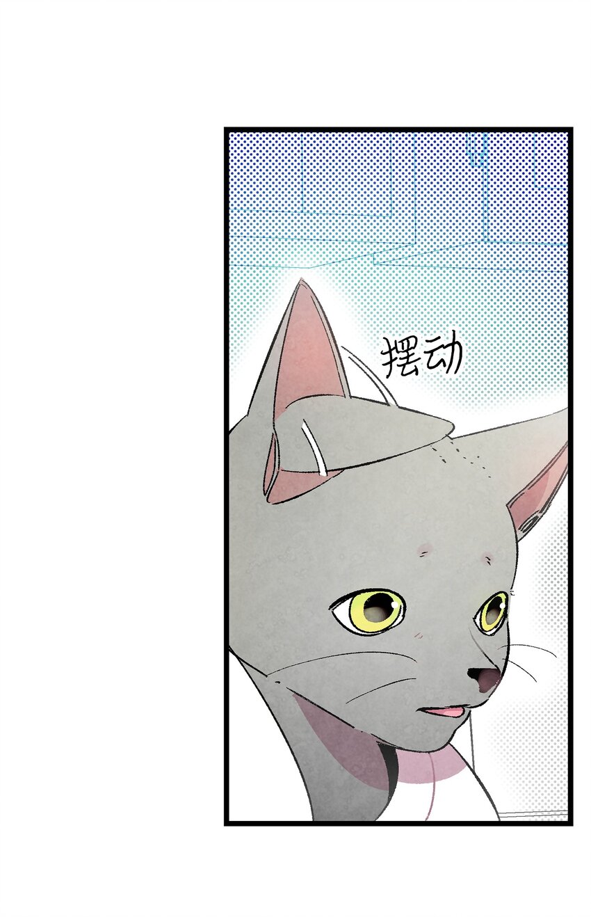 08 连衣裙58