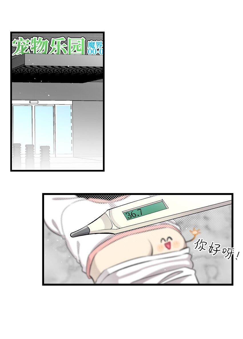147 蝴蝶病倒47