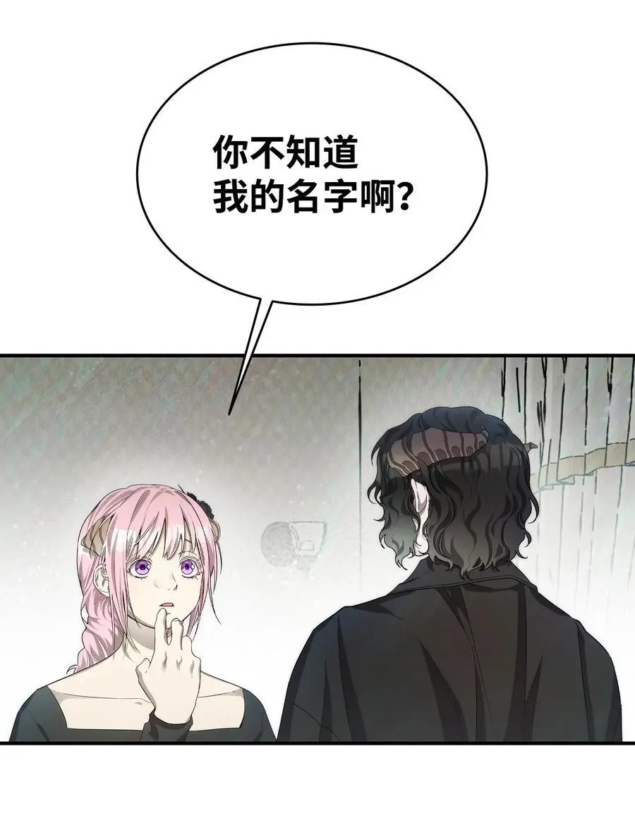 212 另一种人生17
